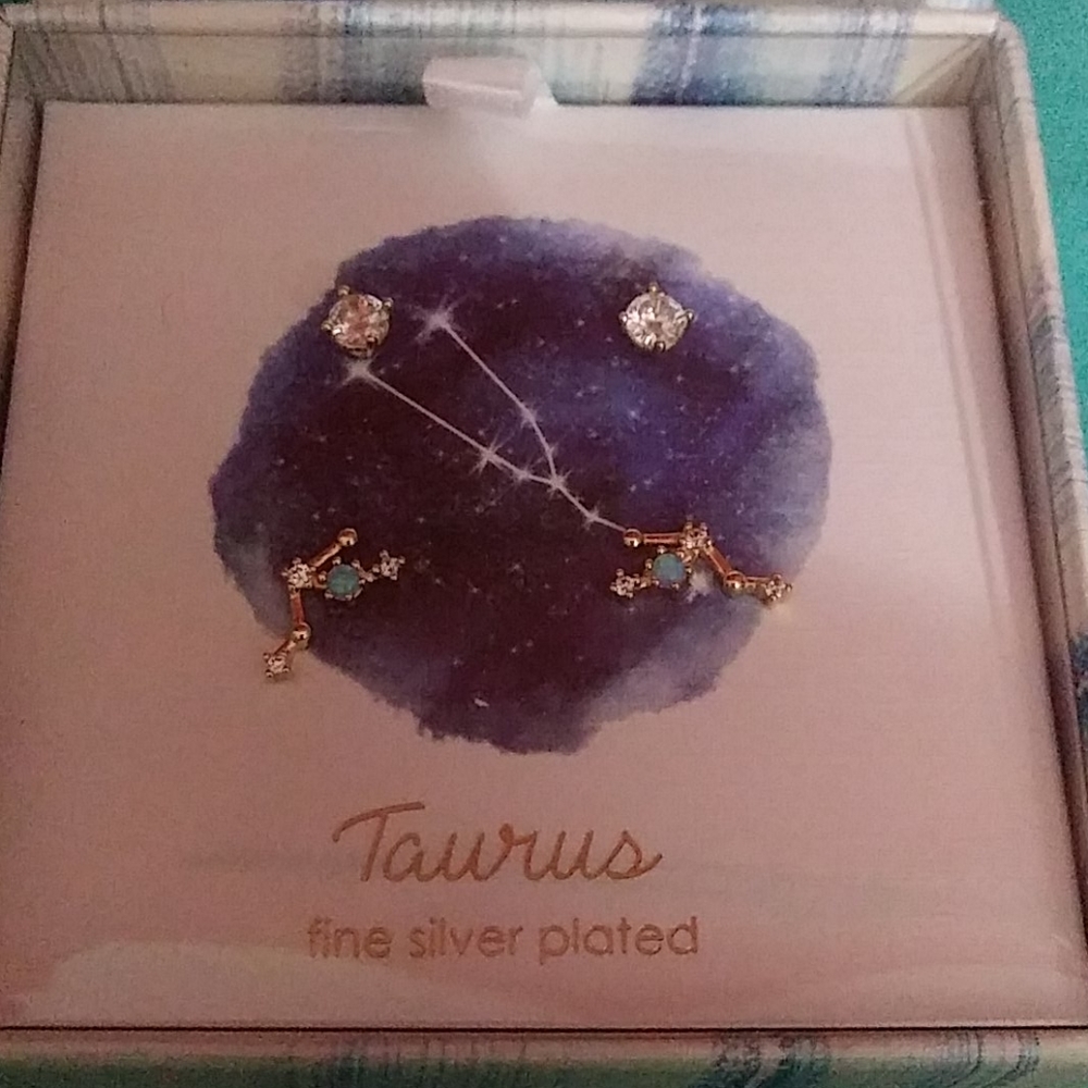 💍Astrology earrings ( Taurus ). New